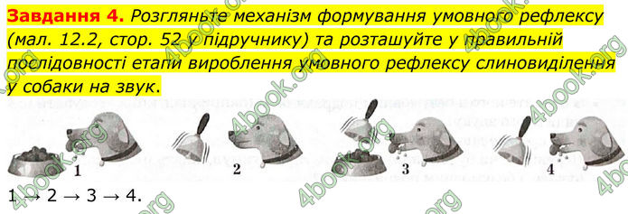 ГДЗ Робочий зошит біологія 8 клас Мирна (НУШ)