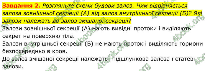 ГДЗ Робочий зошит біологія 8 клас Мирна (НУШ)