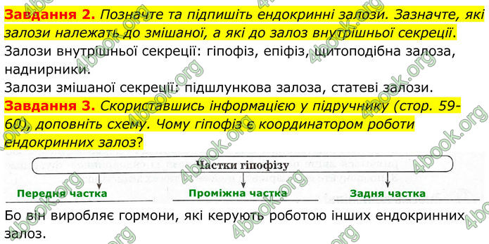 ГДЗ Робочий зошит біологія 8 клас Мирна (НУШ)