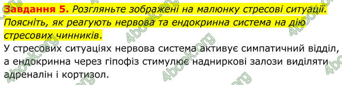 ГДЗ Робочий зошит біологія 8 клас Мирна (НУШ)