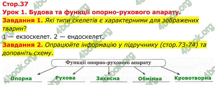 ГДЗ Робочий зошит біологія 8 клас Мирна (НУШ)