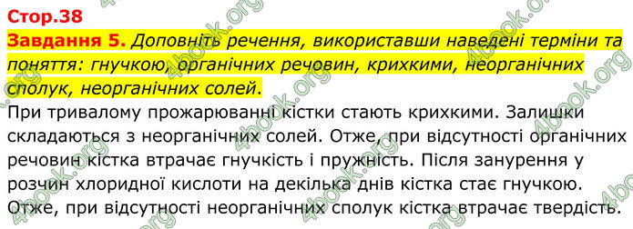 ГДЗ Робочий зошит біологія 8 клас Мирна (НУШ)