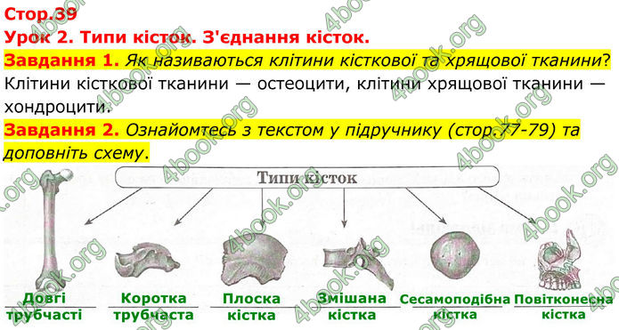 ГДЗ Робочий зошит біологія 8 клас Мирна (НУШ)