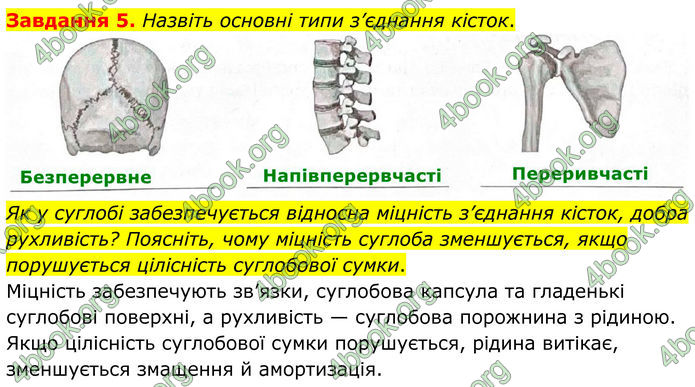 ГДЗ Робочий зошит біологія 8 клас Мирна (НУШ)