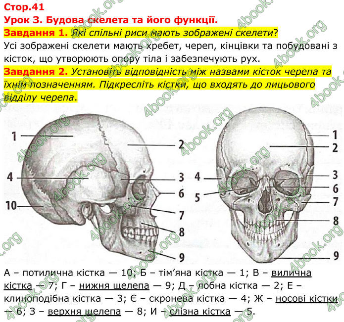 ГДЗ Робочий зошит біологія 8 клас Мирна (НУШ)