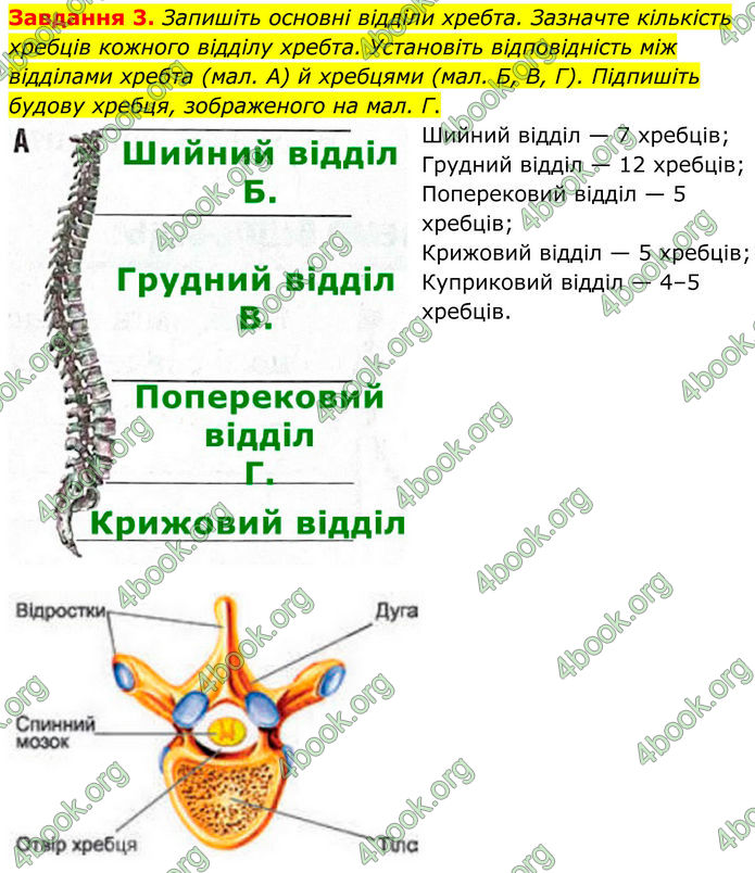 ГДЗ Робочий зошит біологія 8 клас Мирна (НУШ)
