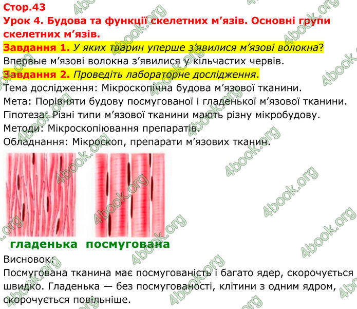 ГДЗ Робочий зошит біологія 8 клас Мирна (НУШ)