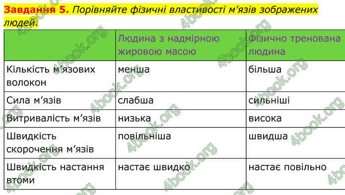 ГДЗ Робочий зошит біологія 8 клас Мирна (НУШ)