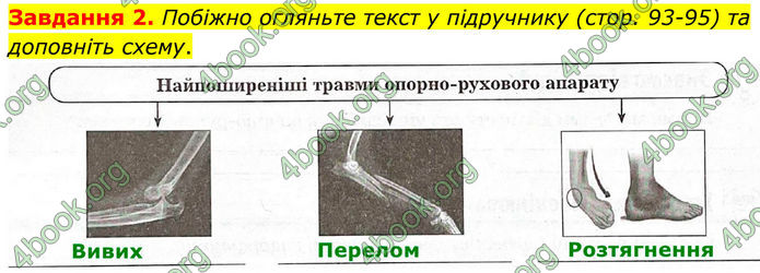 ГДЗ Робочий зошит біологія 8 клас Мирна (НУШ)