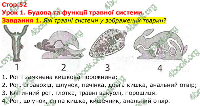 ГДЗ Робочий зошит біологія 8 клас Мирна (НУШ)