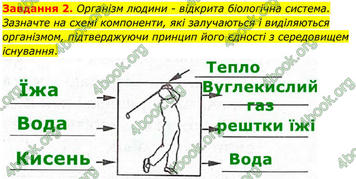 ГДЗ Робочий зошит біологія 8 клас Мирна (НУШ)