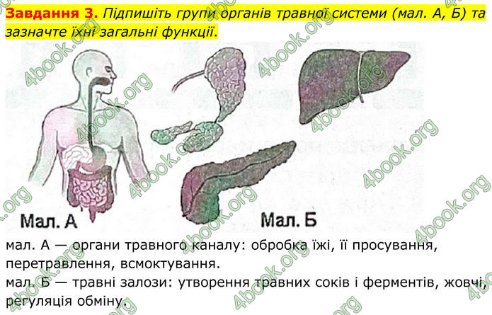 ГДЗ Робочий зошит біологія 8 клас Мирна (НУШ)