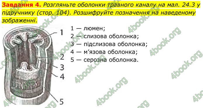 ГДЗ Робочий зошит біологія 8 клас Мирна (НУШ)