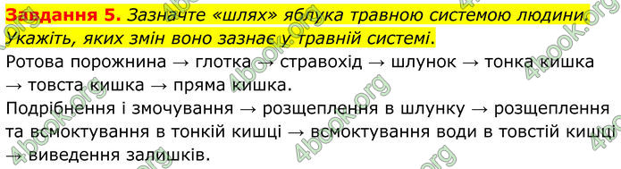 ГДЗ Робочий зошит біологія 8 клас Мирна (НУШ)