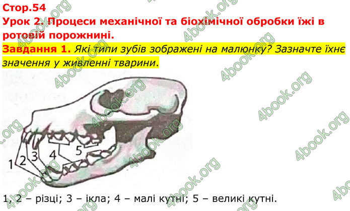 ГДЗ Робочий зошит біологія 8 клас Мирна (НУШ)