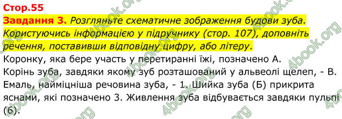 ГДЗ Робочий зошит біологія 8 клас Мирна (НУШ)