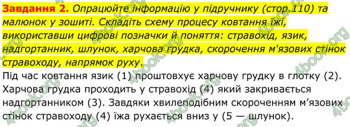 ГДЗ Робочий зошит біологія 8 клас Мирна (НУШ)