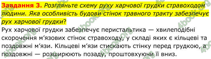 ГДЗ Робочий зошит біологія 8 клас Мирна (НУШ)