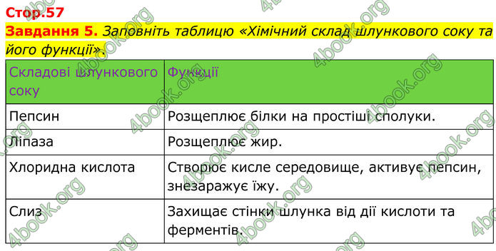 ГДЗ Робочий зошит біологія 8 клас Мирна (НУШ)