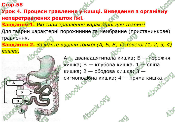 ГДЗ Робочий зошит біологія 8 клас Мирна (НУШ)