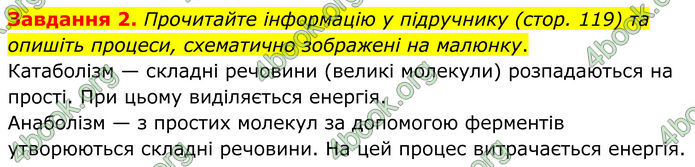 ГДЗ Робочий зошит біологія 8 клас Мирна (НУШ)