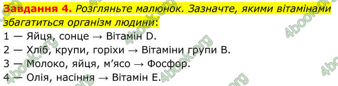 ГДЗ Робочий зошит біологія 8 клас Мирна (НУШ)