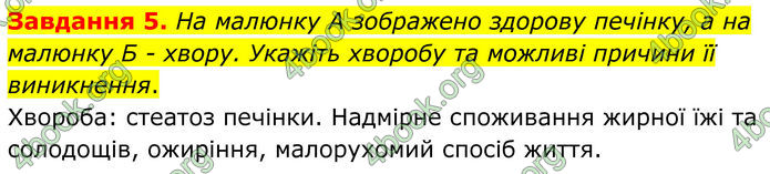 ГДЗ Робочий зошит біологія 8 клас Мирна (НУШ)