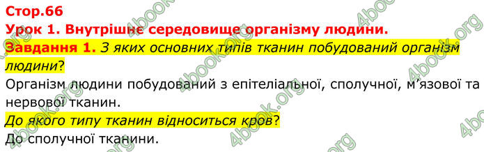 ГДЗ Робочий зошит біологія 8 клас Мирна (НУШ)