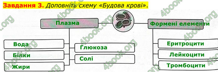 ГДЗ Робочий зошит біологія 8 клас Мирна (НУШ)