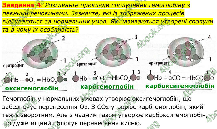 ГДЗ Робочий зошит біологія 8 клас Мирна (НУШ)