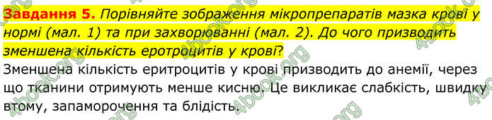 ГДЗ Робочий зошит біологія 8 клас Мирна (НУШ)
