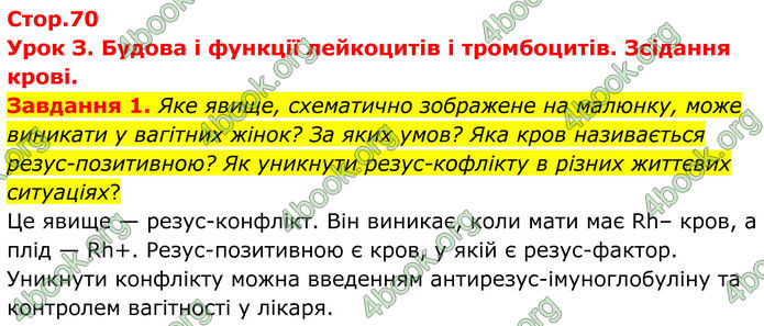 ГДЗ Робочий зошит біологія 8 клас Мирна (НУШ)