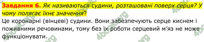 ГДЗ Робочий зошит біологія 8 клас Мирна (НУШ)