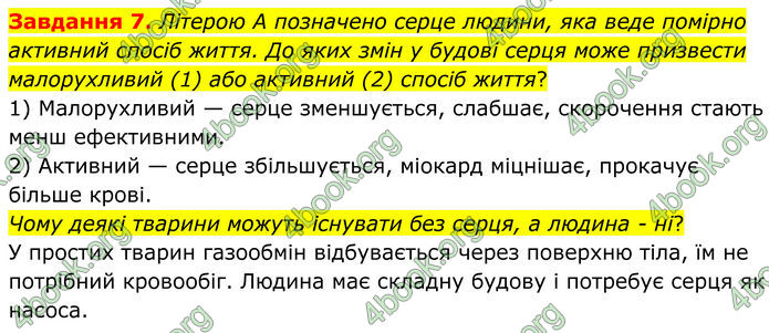 ГДЗ Робочий зошит біологія 8 клас Мирна (НУШ)