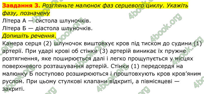 ГДЗ Робочий зошит біологія 8 клас Мирна (НУШ)