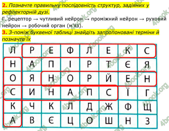 ГДЗ Зошит Біологія 8 клас Тагліна (2025)