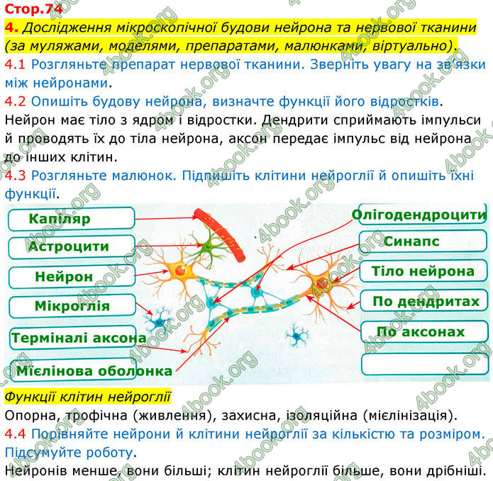 ГДЗ Зошит Біологія 8 клас Тагліна (2025)