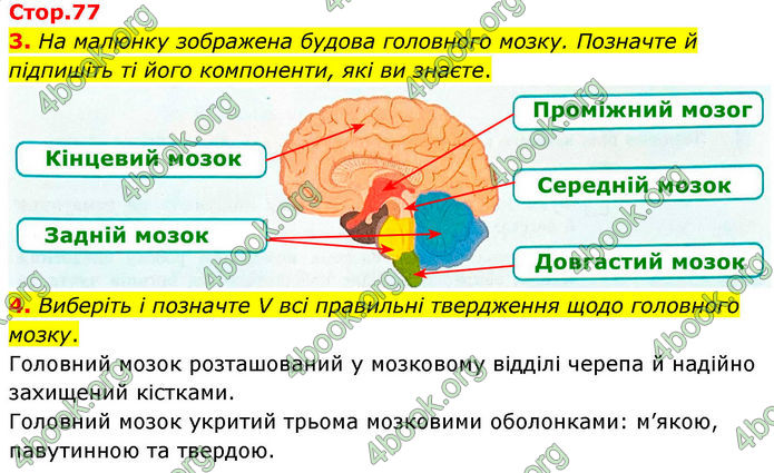ГДЗ Зошит Біологія 8 клас Тагліна (2025)