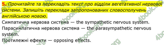 ГДЗ Зошит Біологія 8 клас Тагліна (2025)