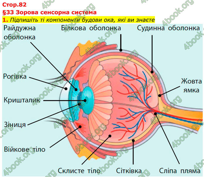ГДЗ Зошит Біологія 8 клас Тагліна (2025)