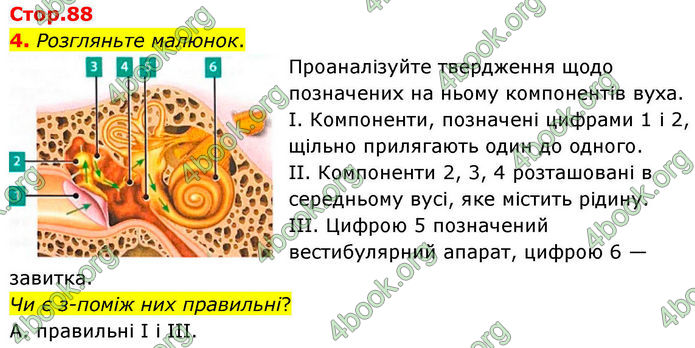 ГДЗ Зошит Біологія 8 клас Тагліна (2025)