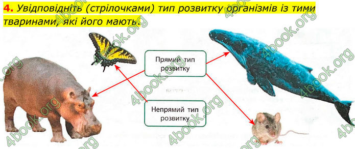 ГДЗ Зошит Біологія 8 клас Тагліна (2025)