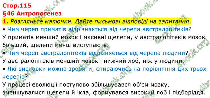 ГДЗ Зошит Біологія 8 клас Тагліна (2025)