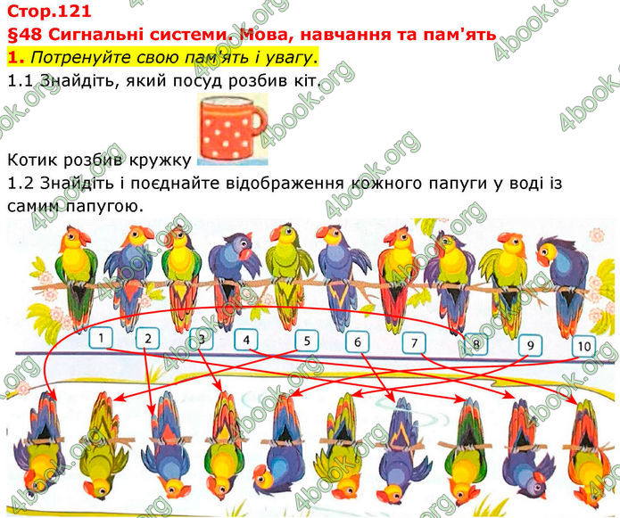 ГДЗ Зошит Біологія 8 клас Тагліна (2025)