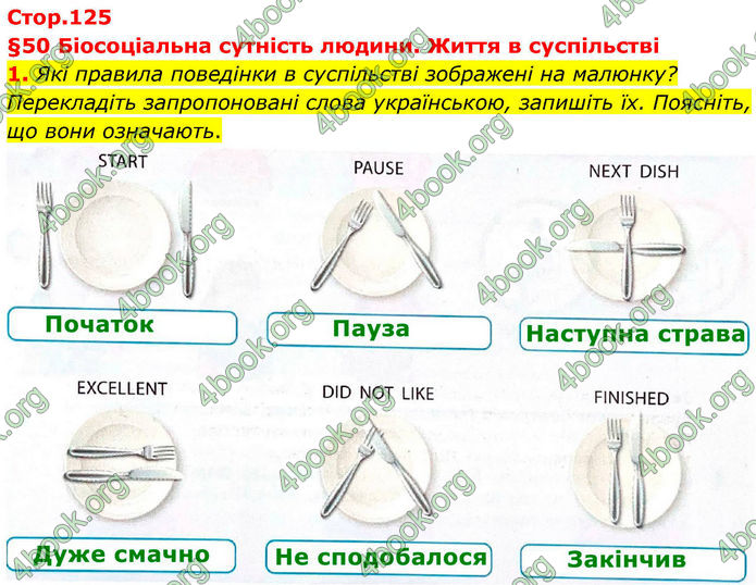 ГДЗ Зошит Біологія 8 клас Тагліна (2025)