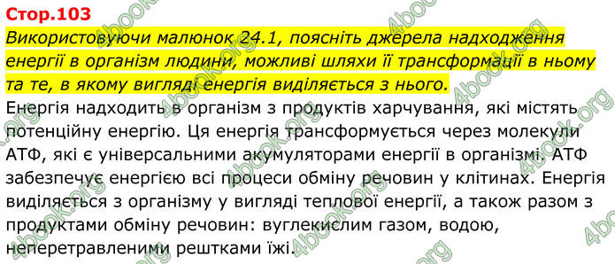 ГДЗ Біологія 8 клас Балан (2025)