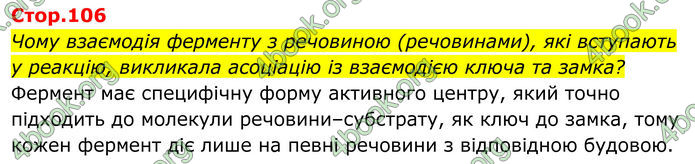 ГДЗ Біологія 8 клас Балан (2025)