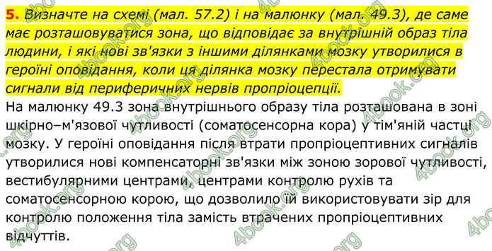 ГДЗ Біологія 8 клас Балан (2025)