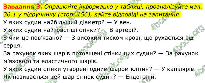 ГДЗ Робочий зошит біологія 8 клас Мирна (НУШ)