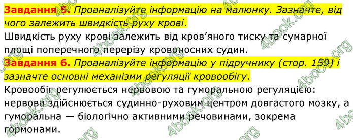ГДЗ Робочий зошит біологія 8 клас Мирна (НУШ)